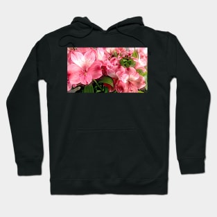 Pink Flowers Hoodie